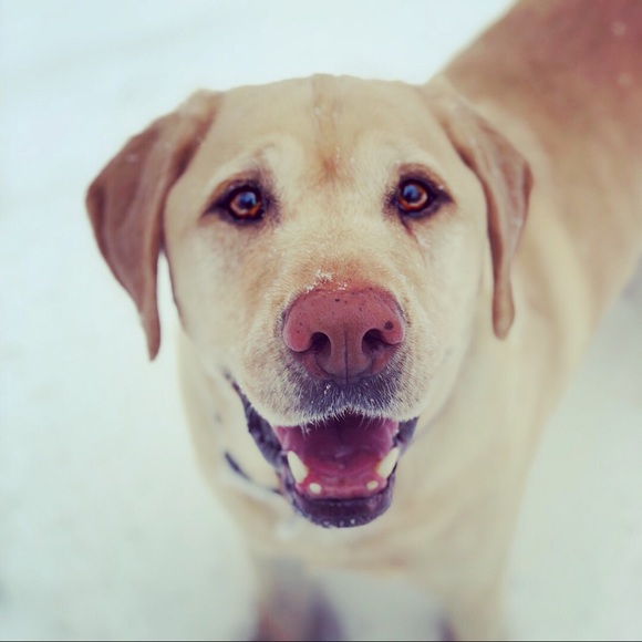 Meet your Posher, Mary lou - Picture 1 of 1